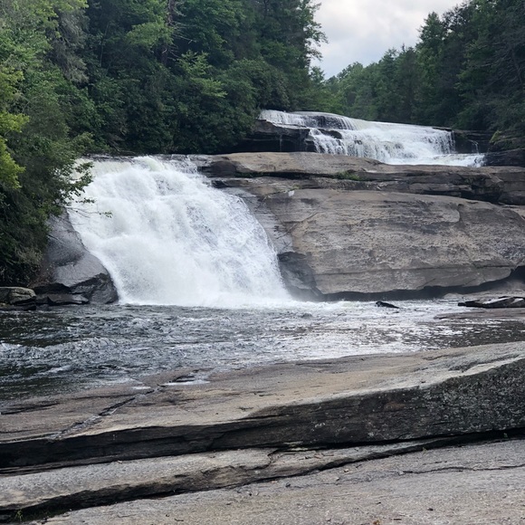 Meet your Posh Ambassador - Picture 2 of 8